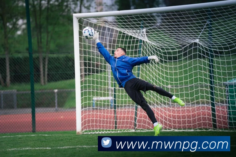 nba投注网站平台生态图